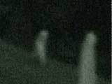 13042352