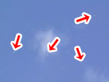 13071008