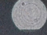 13062419