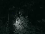 14050655