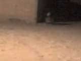 13060611