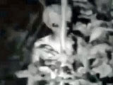 14071823