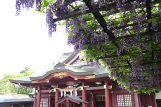 わくわく茨城 笠間稲荷神社 Livedoor Blog ブログ