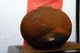 笠間彩初窯市09-01-04(16)炭化焼き締め