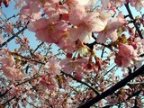 ºù08-03-19µ×»üÉͺù