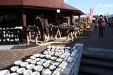笠間焼き初釜市干支虎