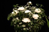 大根むき花
