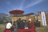 古河桃まつり抹茶の接待