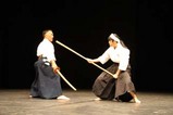 田谷の棒術