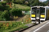 彼岸花08-09-23中舟生駅列車線路
