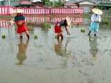 笠間御田植え祭A03-05-10