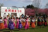 古河桃まつりフラフレンズ古河3