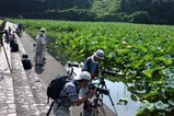 蓮親沢の「池」