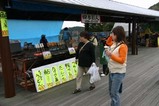 す水府村竜神峡鯉のぼりまつり1