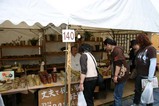 笠間の陶炎祭(ひまつり)佐藤三枝