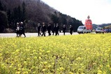 西金砂神社小祭礼09-3-23(3)上宮河内花まとい笠抜き