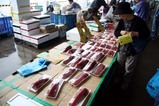 那珂湊かつお祭09-07-05(4)水産物販売