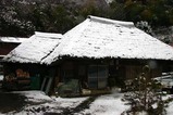 白鳥古徳沼08-02-03雪