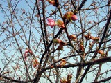 ºù08-03-19µ×»üÉͺù