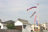 鯨が丘端午の節句09-05-04(12)蔵と鯉のぼり
