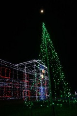 クリスマスイルミネイション亀作縦