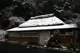 白鳥古徳沼08-02-03雪