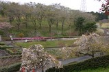 桜静峰公園