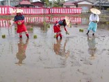 笠間御田植え祭