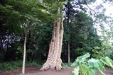 雨引観音の里と彫刻高梨裕理・水