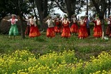 古河桃まつりフラダンス練習