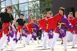 常陸の国YOSAKOI祭りe常陸の国ヨサコイ連