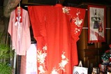 石岡ひな巡り月泉堂