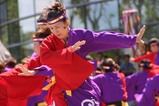 常陸の国YOSAKOI祭りe常陸の国ヨサコイ連