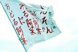 常陸国YOSAKOI祭り(9)奥州ずっこけ隊