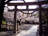 熊野神社