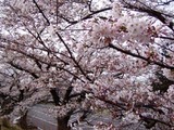 神峰公園