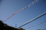 水府村鯉のぼりまつり2列