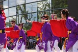 常陸の国YOSAKOI祭りe常陸の国ヨサコイ連