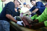 那珂湊産業祭08-10-19(13)マグロ解体ショー