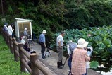 花蓮親沢の池