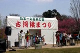古河桃まつりチャーリー小川