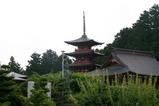 笠間鳳台院あじさい