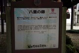笠間藤の花八重の藤
