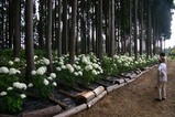 あじさいの森・そば道場(2)人物