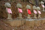 桜大和村雨引観音0