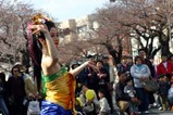 日立さくらまつり09-04-05(71)バリ舞踊スカルクンギ歓迎の踊り