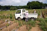 たばこ笠間