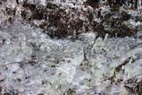 つらら常陸大宮下町09-01-16−6度