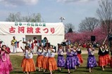 古河桃まつりフラフレンズ古河1