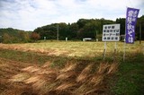 金砂郷そばオーナー体験穂場061015